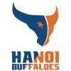 河内水牛logo